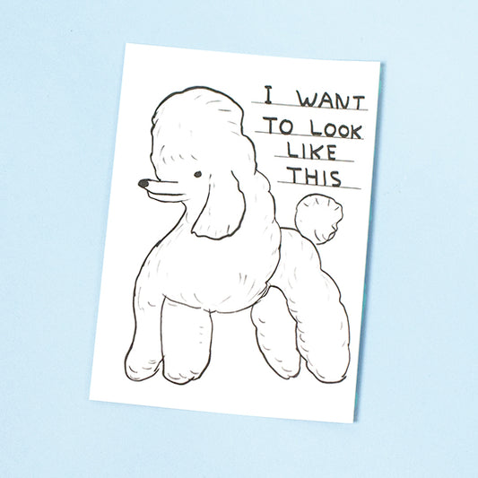 David Shrigley "I WANT TO LOOK LIKE THIS" Postcard