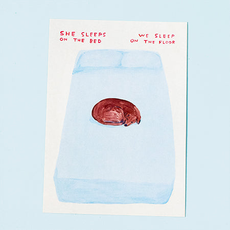 David Shrigley "SHE SLEEPS ON THE BED" Postcard