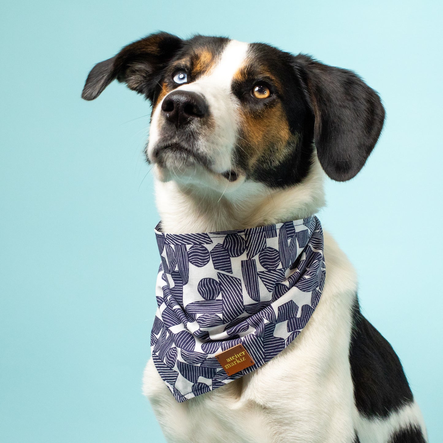 Totem Bandana