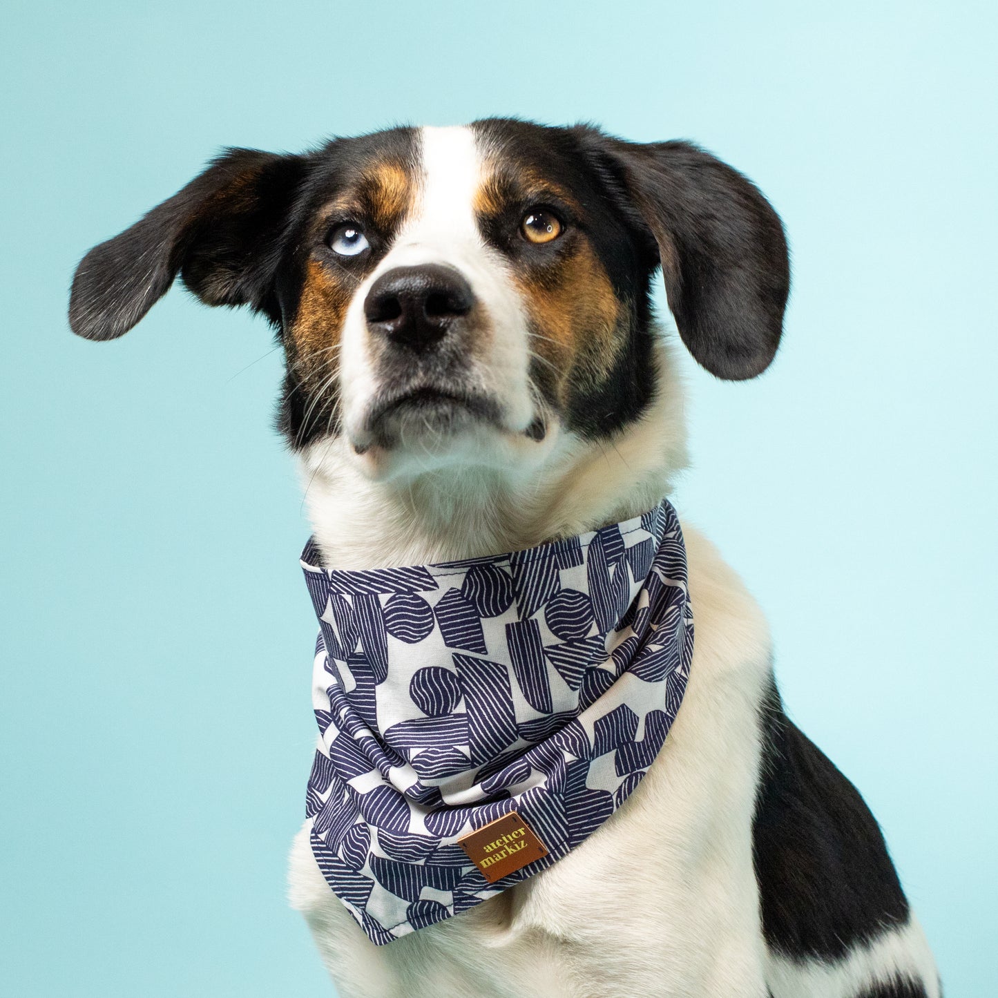 Totem Bandana