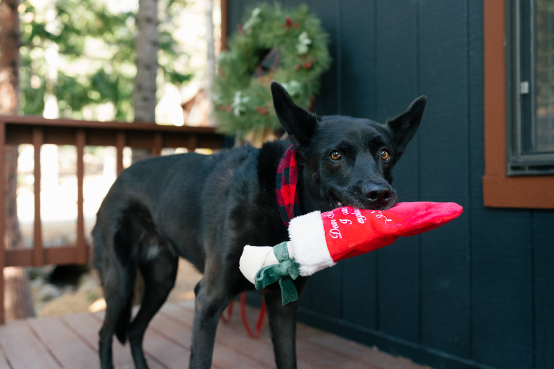 Good Dog Stocking Toy